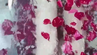 赛琳娜的黄金完整翻译版中文-直播 火辣身材的娜扎【沙滩上的贝壳酱】!