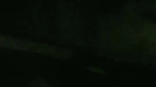 中国精品久久久久久久久久久-小鸟酱与小果酱写真